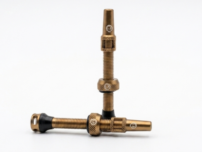 Tubless Valves