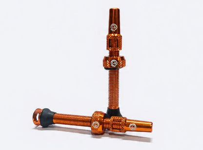 Tubless Valves