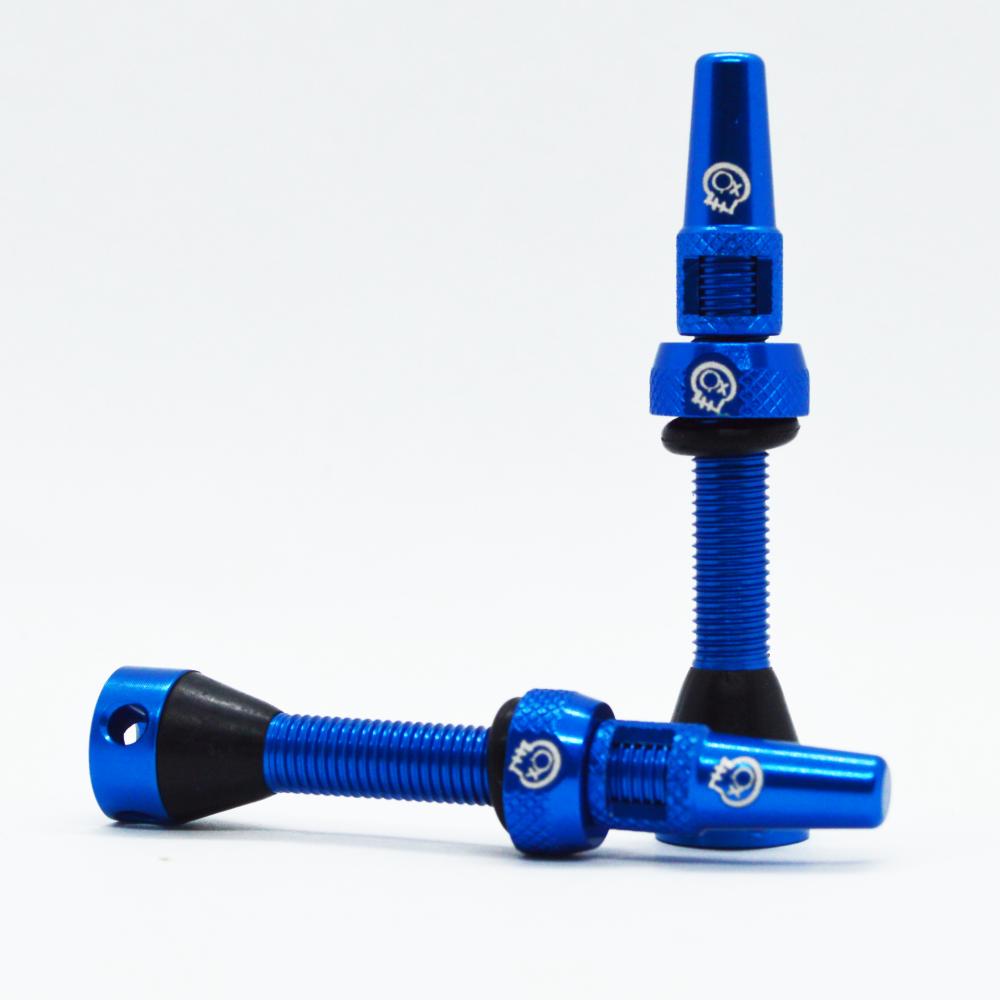 Tubless Valves