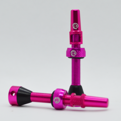 Tubless Valves