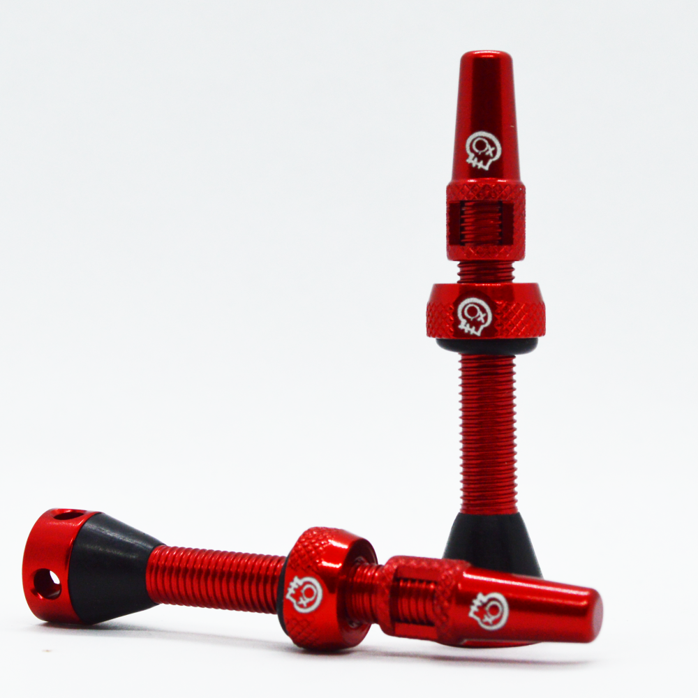 Tubless Valves